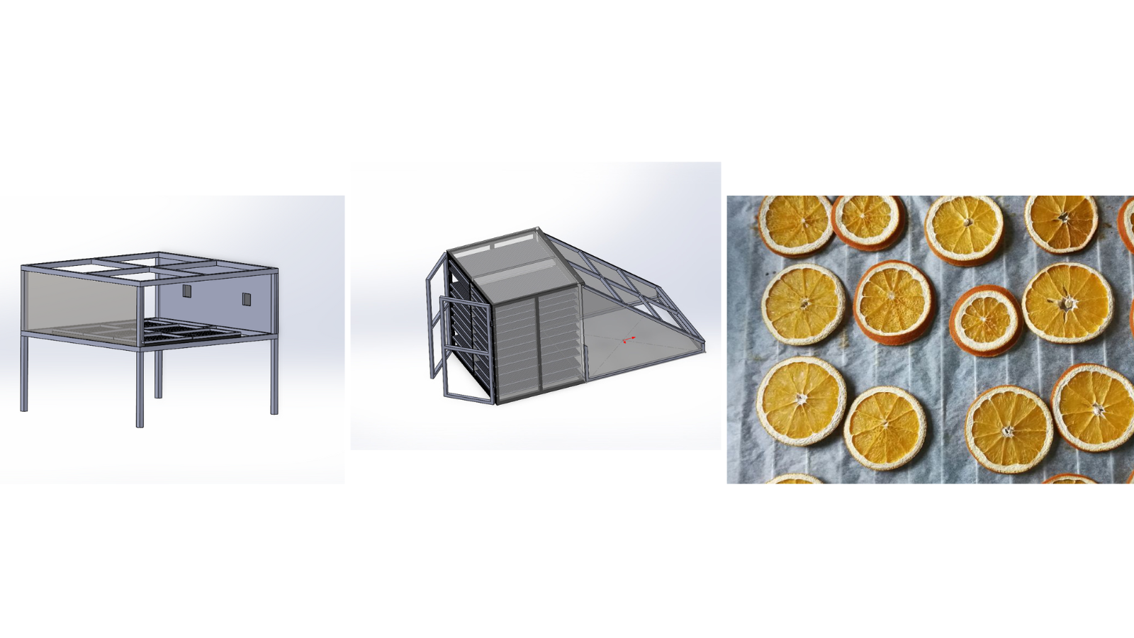 Industrial Fruit Drying System