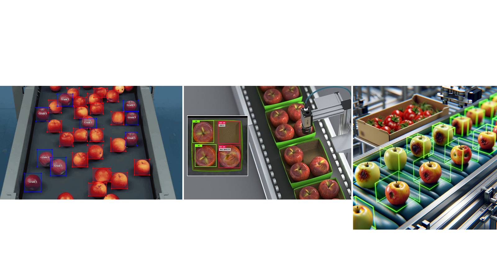 Fruit & Vegetable Sorting