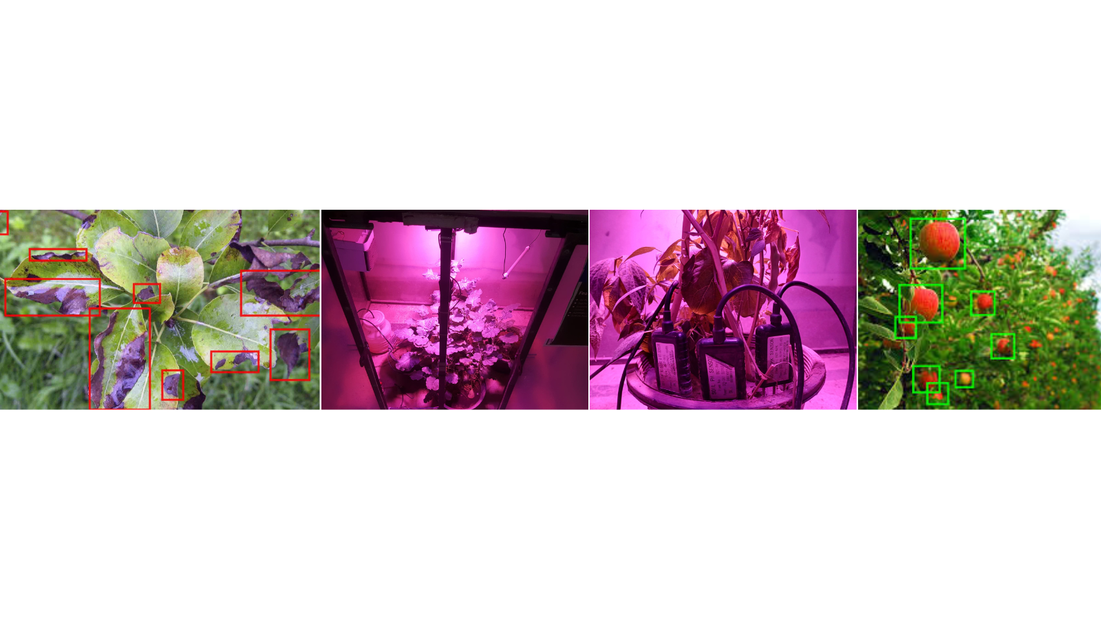AI in Agriculture